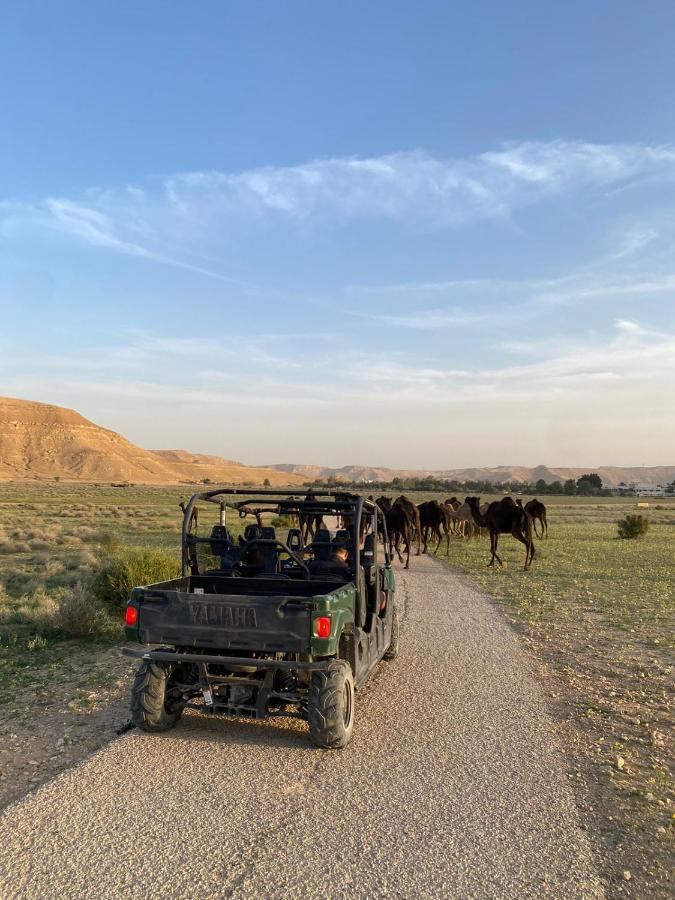 Resort منتجع جلامبنغ - Glamping *