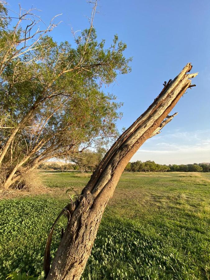 منتجع جلامبنغ - Glamping Riyadh