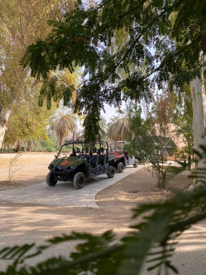 منتجع جلامبنغ - Glamping